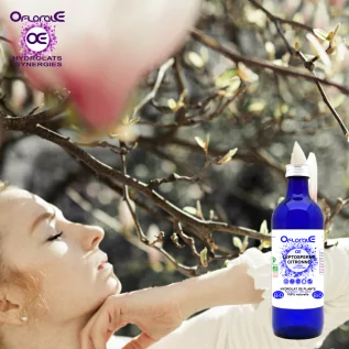 Lemon Leptospermum leaf origin BiO*, Hydrosol (Leptospermum citratum) - Oflorale