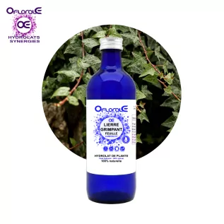 Climbing ivy leaf, Hydrosol (Hedera helix) - Oflorale