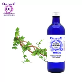 Lierre grimpant feuille, Hydrolat (Hedera helix) - Oflorale