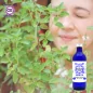 Schale Majoranblatt Herkunft BiO*, Hydrosol (Origanum Majorana) - OFLORALE
