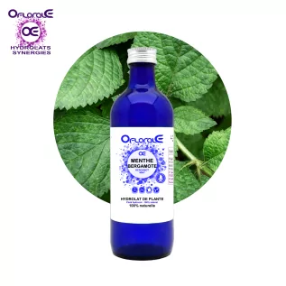 Menthe bergamote plante, Hydrolat (Mentha citrata) - OFLORALE