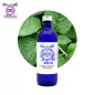 Minz-Bergamotte-Pflanze, Hydrosol (Mentha citrata) – OFLORALE