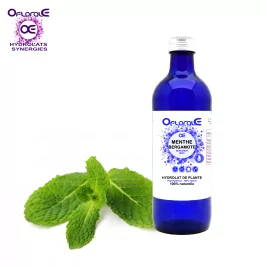 Bergamot mint plant, Hydrosol (Mentha citrata) - OFLORALE