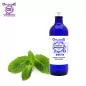 Minz-Bergamotte-Pflanze, Hydrosol (Mentha citrata) – OFLORALE
