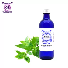 Menthe des champs feuille, Hydrolat (Mentha arvensis) - OFLORALE