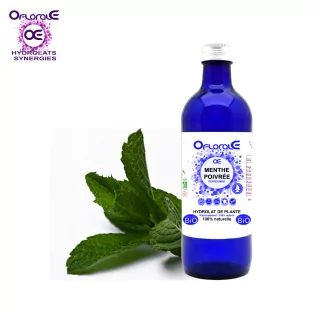 Planta de menta Origen BiO*, Hidrolato (Mentha piperita) - OFLORALE