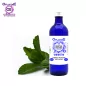 Menthe poivrée plante Origine BiO*, Hydrolat (Mentha piperita) - OFLORALE