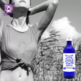 Pfefferminzpflanze Herkunft BiO*, Hydrolat (Mentha piperita) – OFLORALE