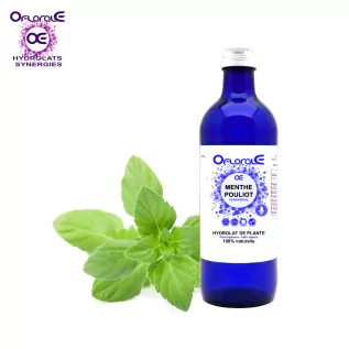 Pennyroyal-Pflanze, Hydrolat (Mentha pulegium) – OFLORALE