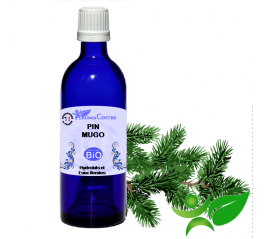 Pin Mugo BiO, Hydrolat (Pinus mugo m.) - Aroma Centre