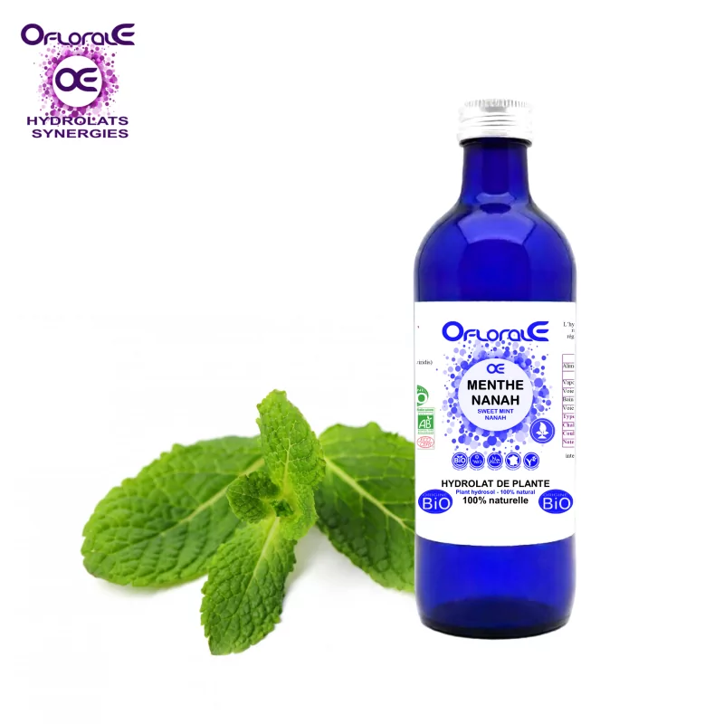 Süße Minze Nanah-Pflanze Herkunft BiO*, Hydrosol (Mentha spicata nanah) – OFLORALE Süße Minze Nanah-Pflanze Herkunft BiO*, Hydrosol (Mentha spicata nanah) – OFLORALE
