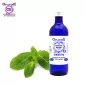 Süße Minze Nanah-Pflanze Herkunft BiO*, Hydrosol (Mentha spicata nanah) – OFLORALE