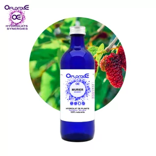 Maulbeerblatt, Hydrolat (Morus nigra) - OFLORALE