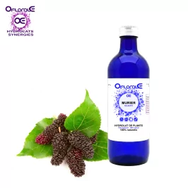 Maulbeerblatt, Hydrolat (Morus nigra) - OFLORALE