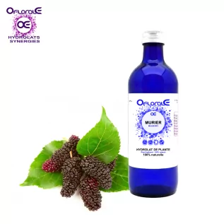 Murier feuille, Hydrolat (Morus nigra) - OFLORALE