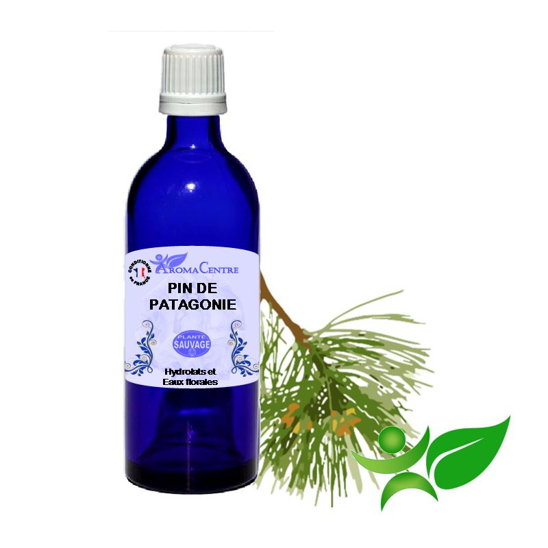 Pin de Patagonie, Hydrolat (Pinus ponderosa) - Aroma Centre