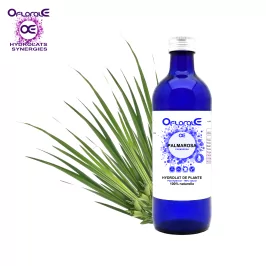 Palmarosablatt, Hydrosol (Cymbopogon martinii var. Motia) - OFLORALE