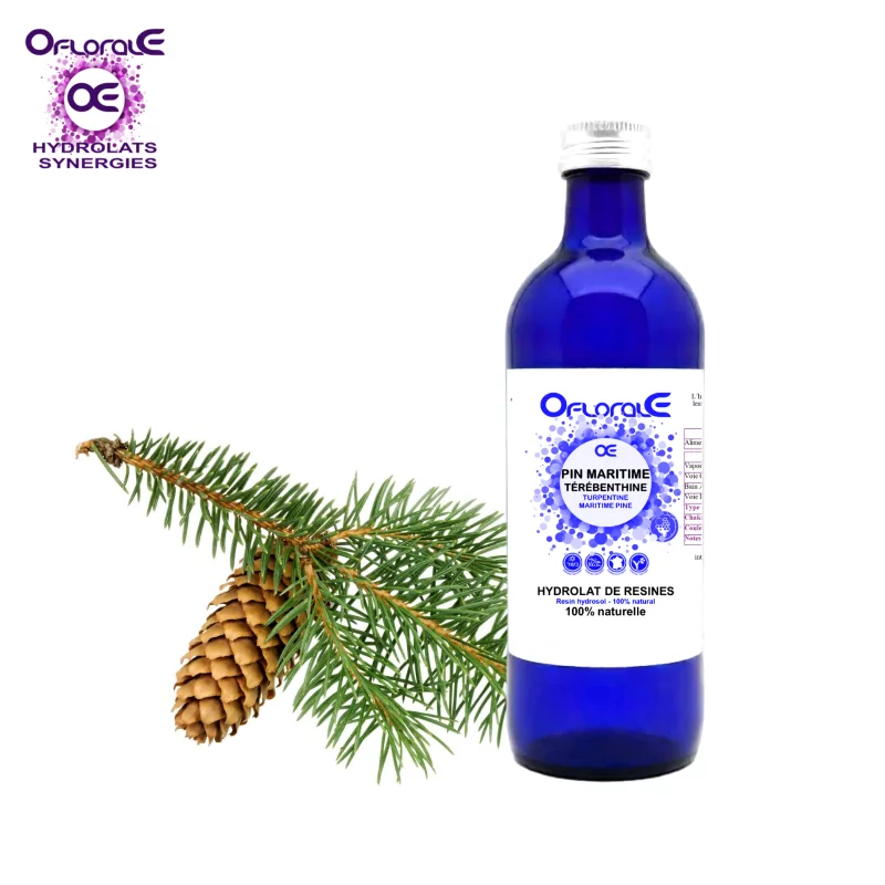 Maritime pine - turpentine, Hydrosol (Pinus pinaster sylvestris) - OFLORALE