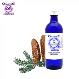 Scots Pine Needle, Hydrosol (Pinus sylvestris) - OFLORALE