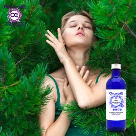 Scots Pine Needle, Hydrosol (Pinus sylvestris) - OFLORALE
