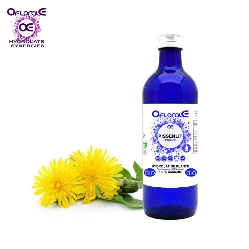 Planta Diente de león Origen orgánico, Hidrosol (Taraxacum officinalis) - OFLORALE Planta Diente de león Origen orgánico, Hidrosol (Taraxacum officinalis) - OFLORALE