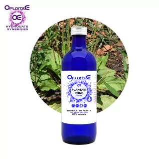 Round leaf plantain, Hydrosol (Plantago major) - OFLORALE