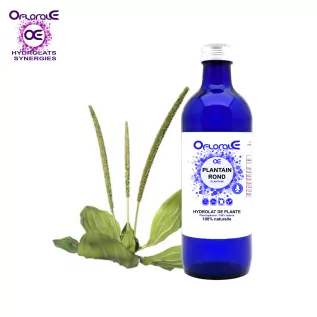 Round leaf plantain, Hydrosol (Plantago major) - OFLORALE
