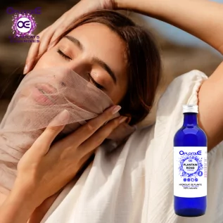 Yuvarlak yapraklı muz, Hidrosol (Plantago major) - OFLORALE