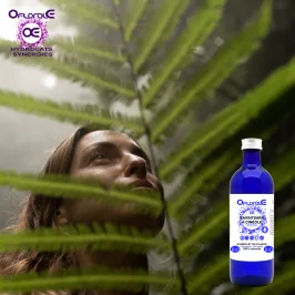 Ravintsara cineole yaprağı Organik* Kökenli, Hidrosol (Cinnamomum camphora cineoliferum) - OFLORALE