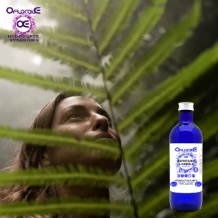 Ravintsara Cineolblatt Bio* Herkunft, Hydrosol (Cinnamomum camphora cineoliferum) - OFLORALE