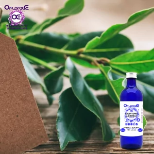 Ravintsara à cinéole feuille Origine BiO*, Hydrolat (Cinnamomum camphora cineoliferum) - OFLORALE
