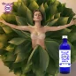Echtes Salbeiblatt Bio* Herkunft, Hydrosol (Salvia officinalis) - OFLORALE Echtes Salbeiblatt Bio* Herkunft, Hydrosol (Salvia officinalis) - OFLORALE