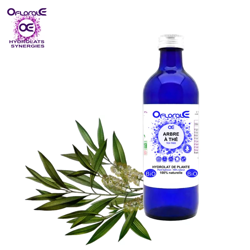 Çay ağacı - Organik* çay ağacı, Hidrosol (Melaleuca alternifolia) - OFLORALE