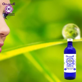 Verveine citronnée feuille Origine BiO*, Hydrolat (Lippia citriodora) - OFLORALE