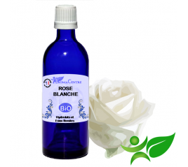 Rose blanche BiO, Hydrolat (Rosa alba) - Aroma Centre