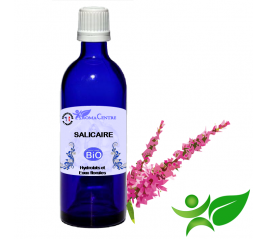 Salicaire BiO, Hydrolat (Lythrumsalicaria) - Aroma Centre