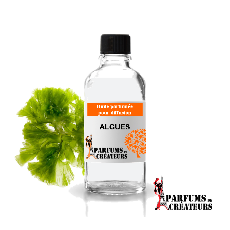 Algue, Huile parfumée spéciale pour diffusion 10ml - Parfums de Créateurs