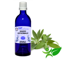 Sauge officinale à grandes feuilles, Hydrolat (Salvia officinalis) - Aroma Centre