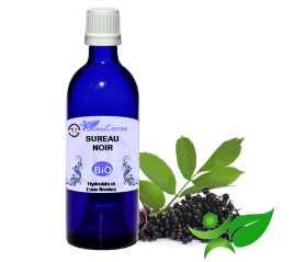 Sureau noir BiO, Hydrolat (Sambucus nigra) - Aroma Centre