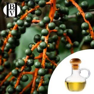 huile végétale Açai  origine BiO* (Euterpe oleracea) - HBV Huiles et Beurres