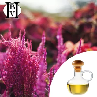 Bio-Amaranth-Pflanzenöl (Amaranthus Caudatus) - HBV Öle und Butter