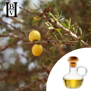 Argan-Pflanzenöl (Argania spinosa)