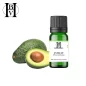 Avocat huile végétale (Persea americana) - HBV Huiles et Beurres