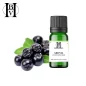 Aronia bitkisel yağı (Aronia melanocarpa) - HBV Yağları ve Tereyağı