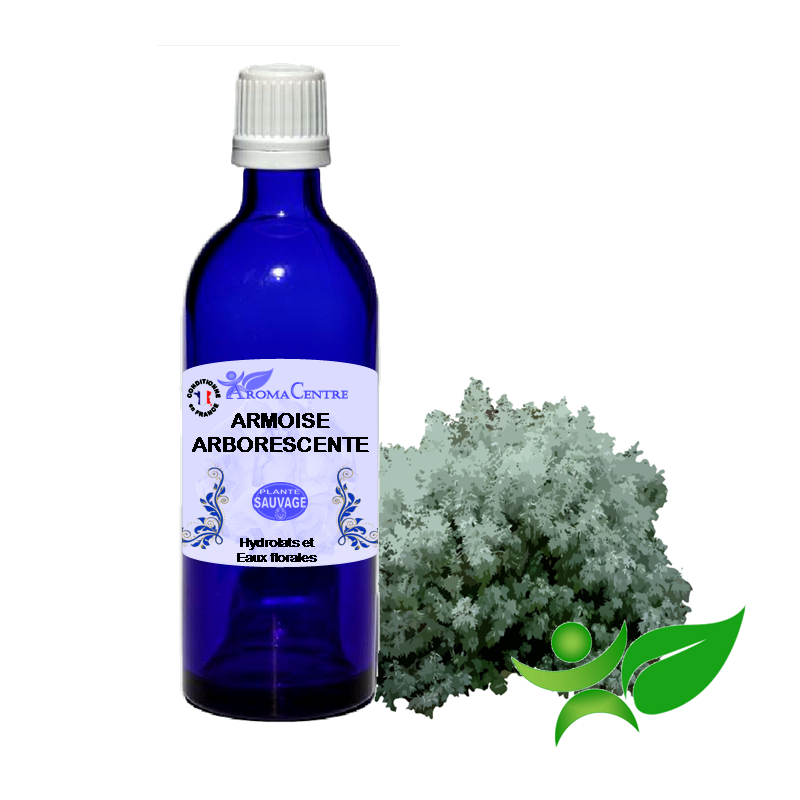 Armoise, Hydrolat (Artemisia arborescens) - Aroma Centre