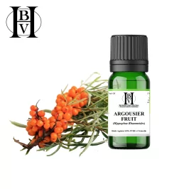 Sea Buckthorn (Fruit) vegetable oil (Hippophae Rhamnoides) - HBV Oils and Butters
