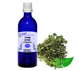 Thym fort à thymol BiO, Hydrolat (Thymus vulgaris ct thymol) - Aroma Centre