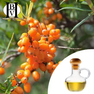 Hippophae Rhamnoides vegetable oil - HBV Oils and Butters