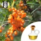 Sea Buckthorn (Fruit) vegetable oil (Hippophae Rhamnoides) - HBV Oils and Butters Sea Buckthorn (Fruit) vegetable oil (Hippophae Rhamnoides) - HBV Oils and Butters