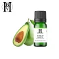 Refined Avocado vegetable oil (Persea americana) - HBV Oils and Butters